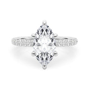 white gold, platinum