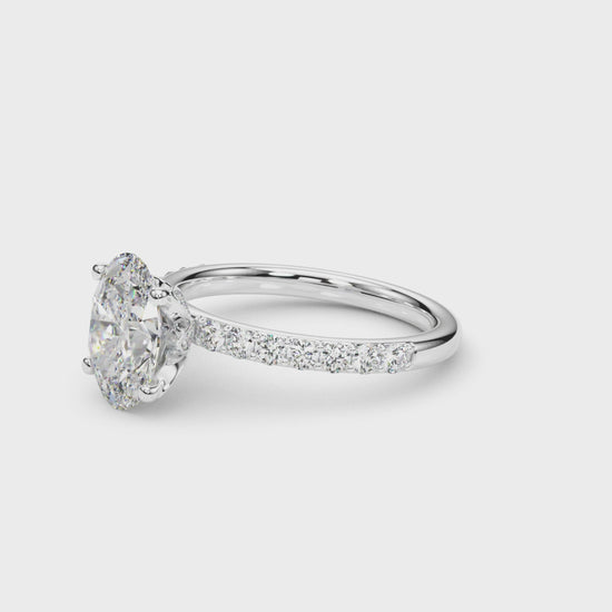  | shape: princess